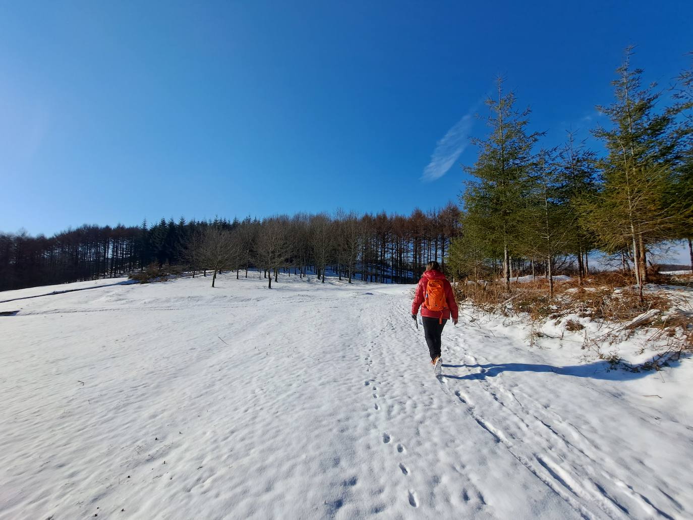 La cima de los mil secretos