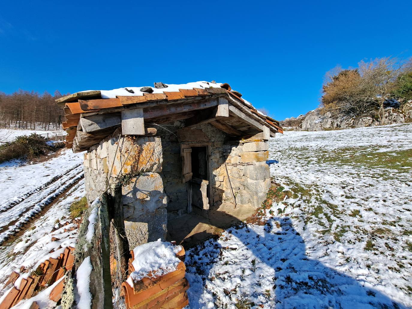 La cima de los mil secretos