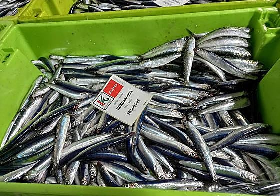 Venta de antxoa este jueves.