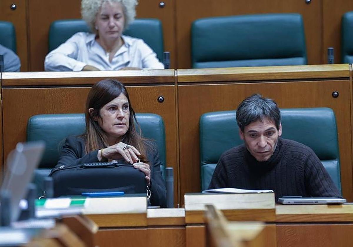 PNV y PSE acuerdan que haya una festividad feminista, pero no la fecha