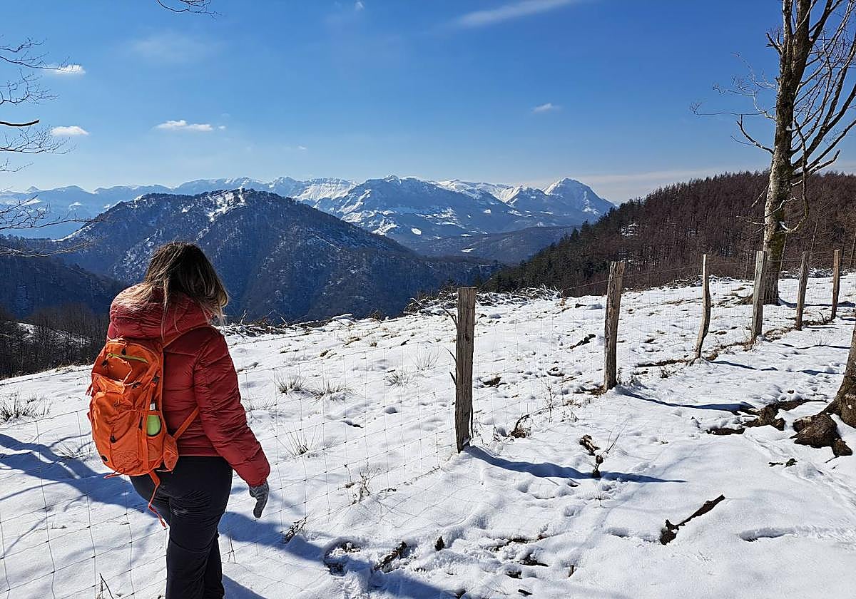Aldamuino: Entre pinos y árboles solitarios
