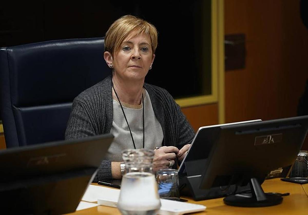 Arantxa Tapia ha comparecido esta mañana en la comisión de Desarrollo en el Parlamento Vasco.