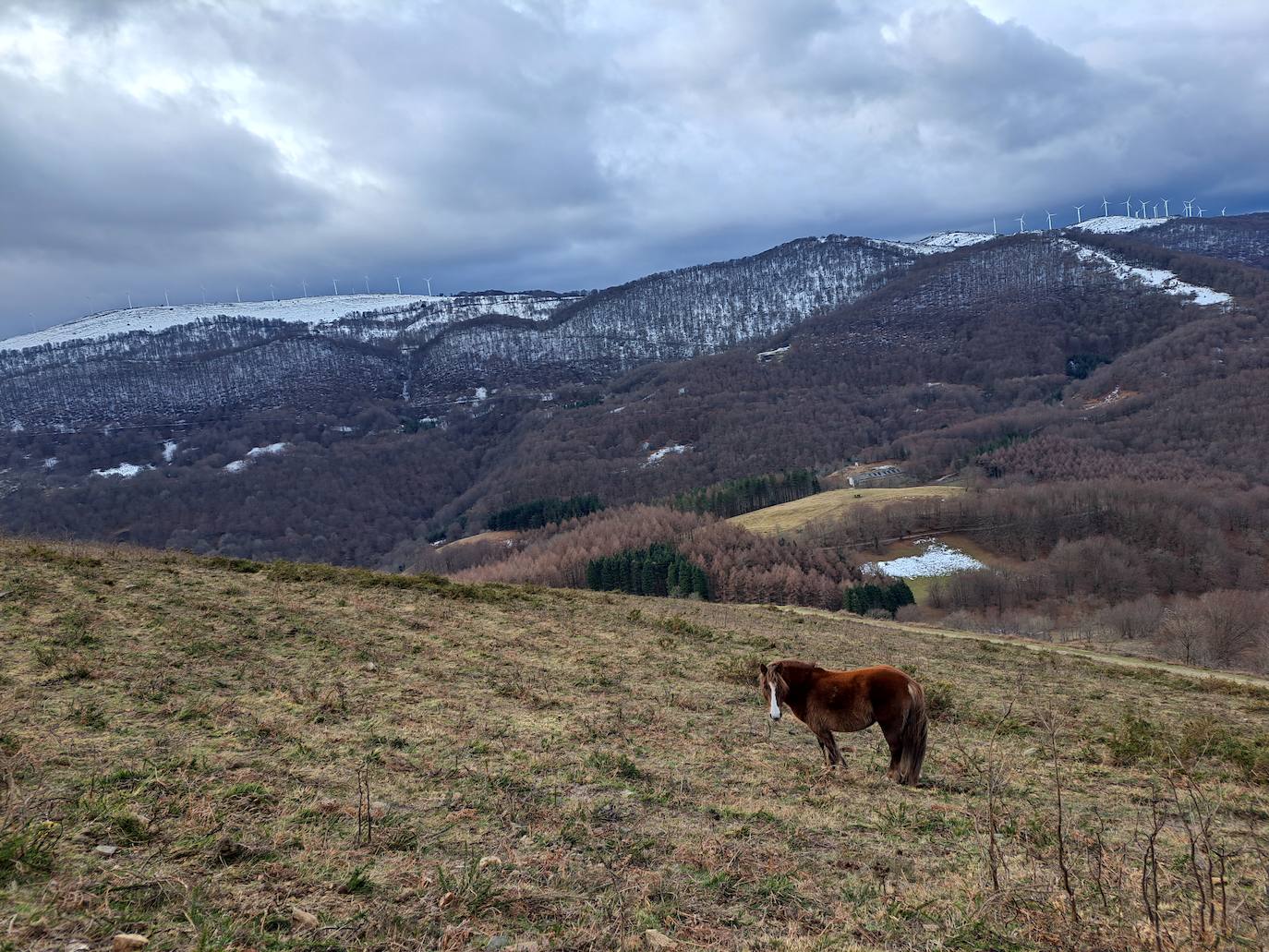 Las mejores imágenes de la ruta a Iruñarri
