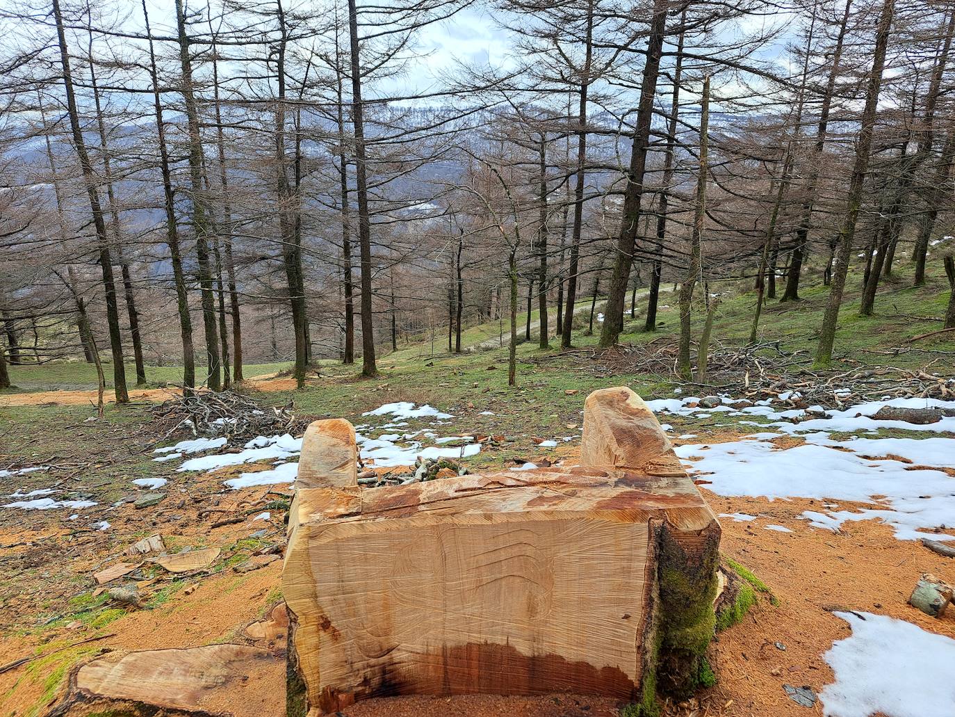 Las mejores imágenes de la ruta a Iruñarri