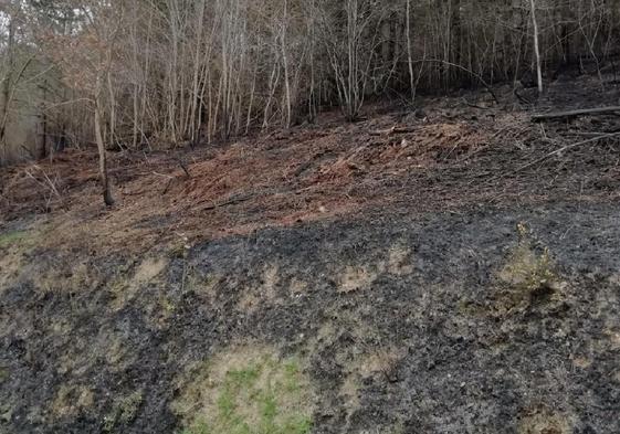 El fuego calcina hectárea  y media  de terreno