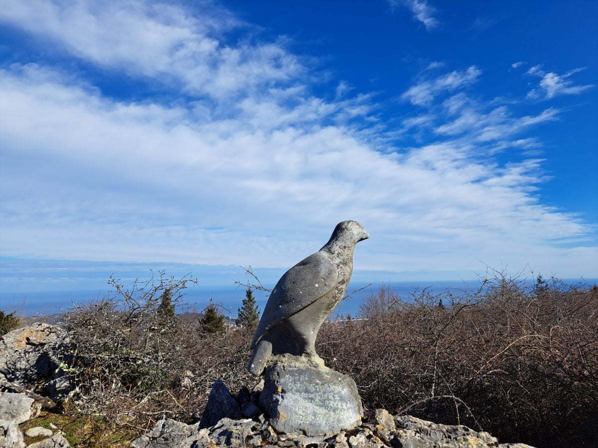 Las mejores fotos de la ruta por Pagoeta