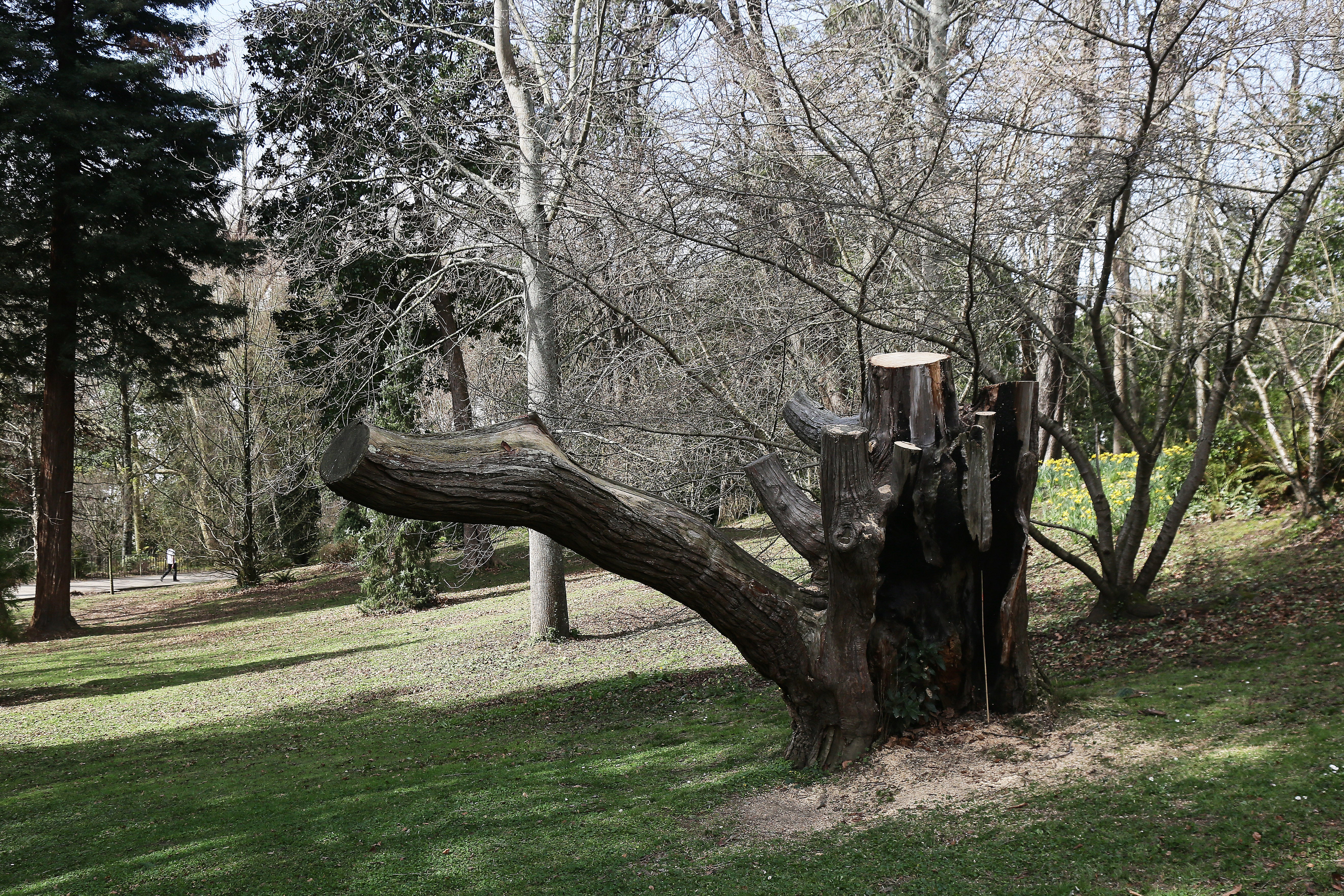Cristina Enea, el legado del Duque de Mandas