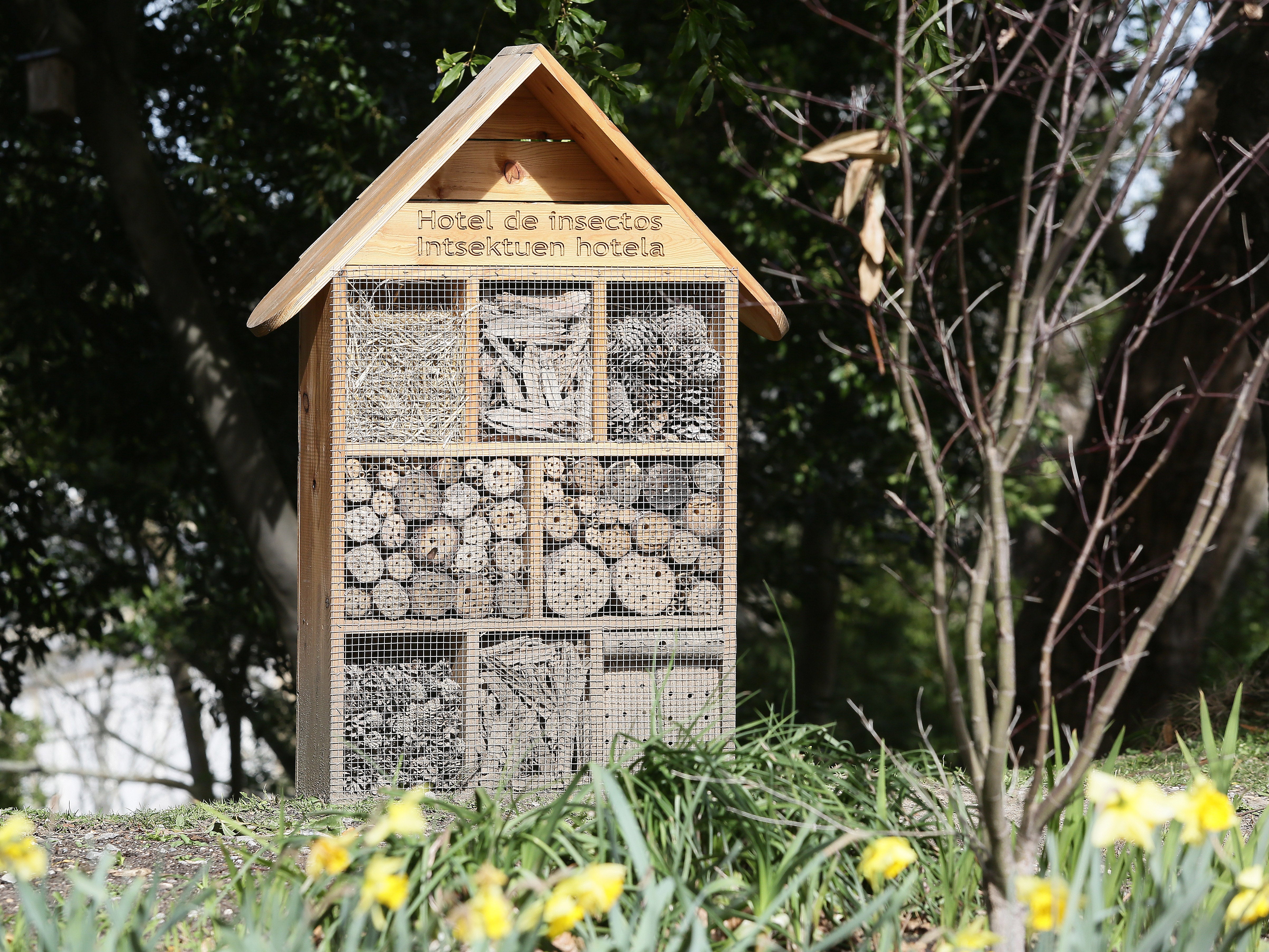 Cristina Enea, el legado del Duque de Mandas