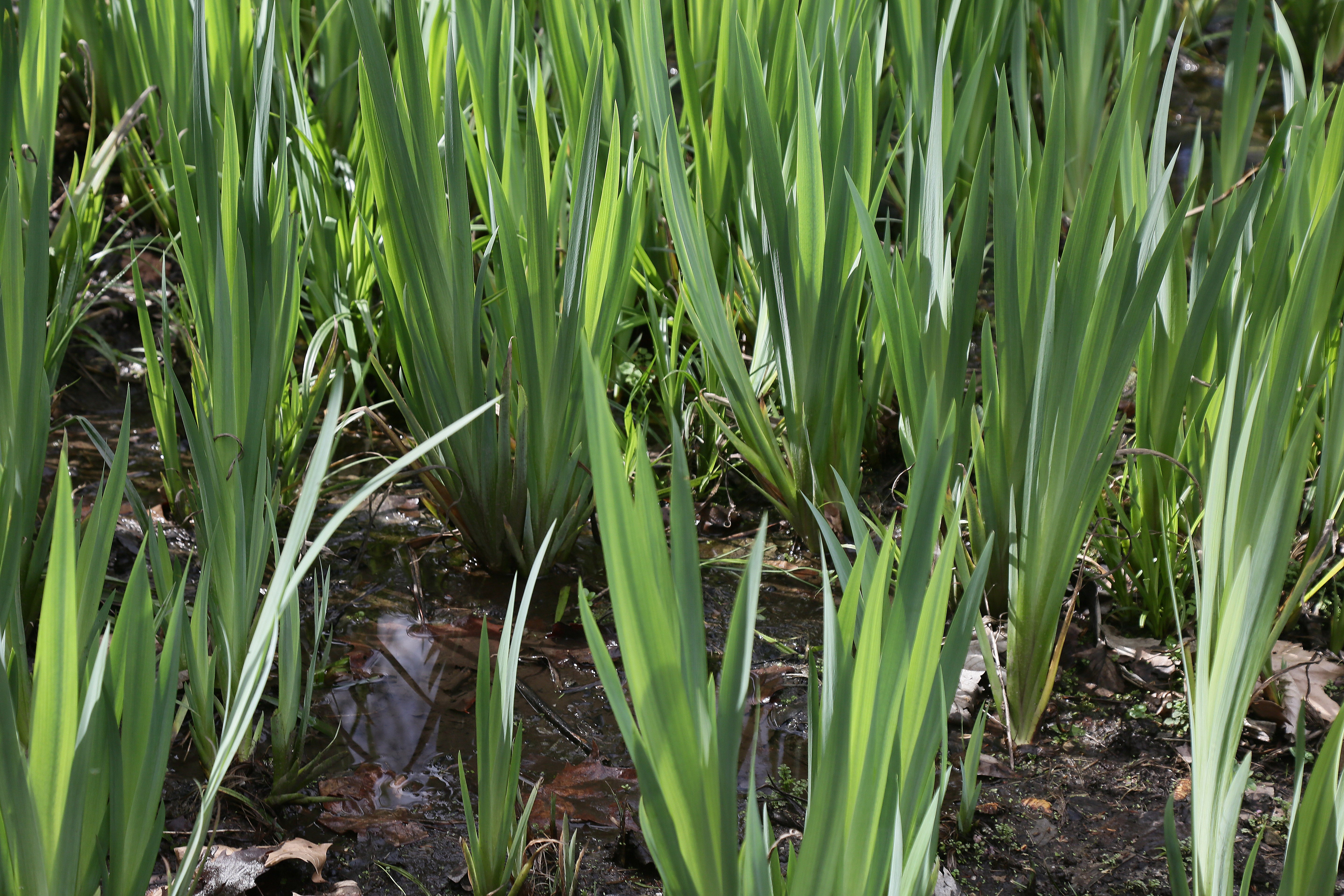 Cristina Enea, el legado del Duque de Mandas