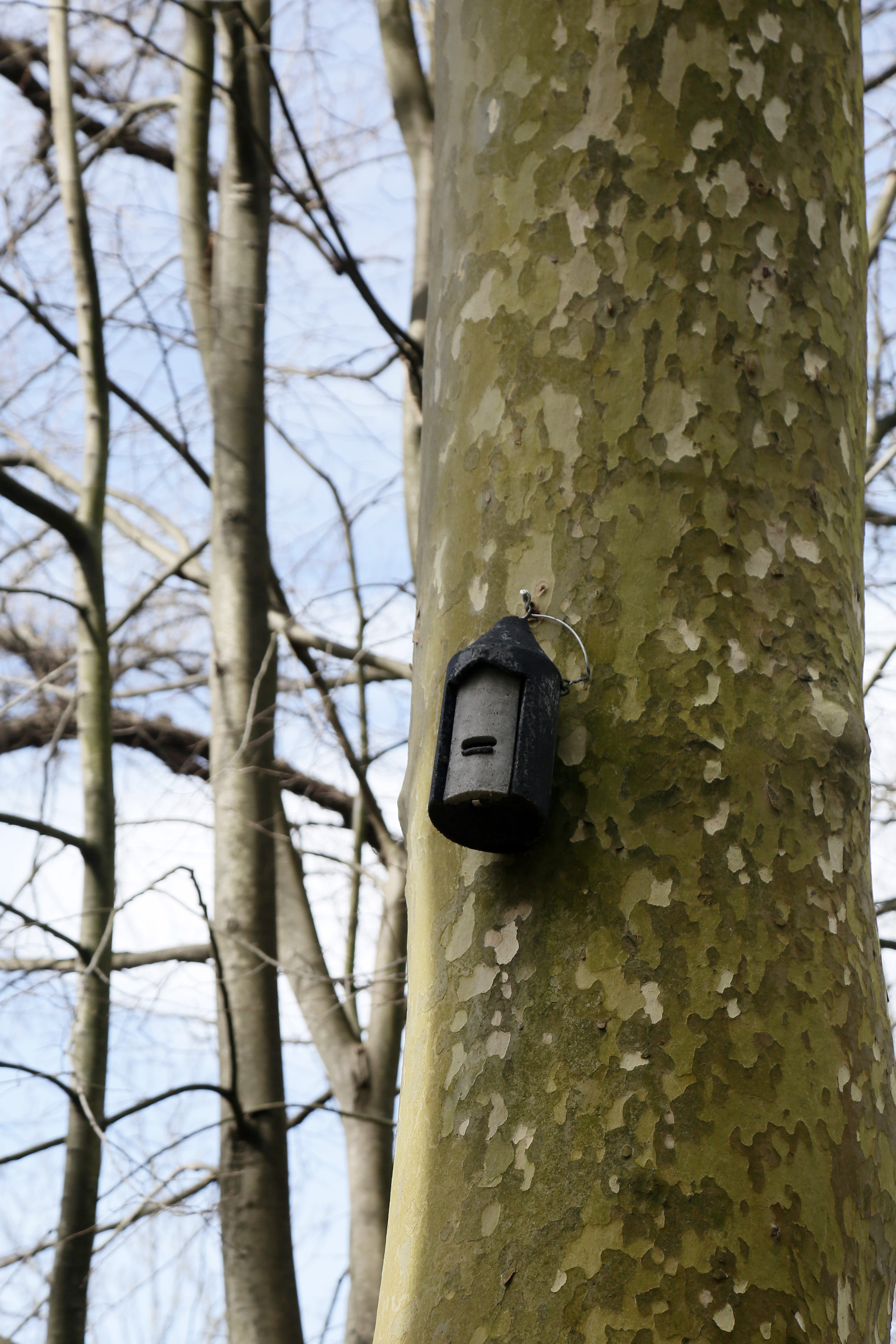 Cristina Enea, el legado del Duque de Mandas