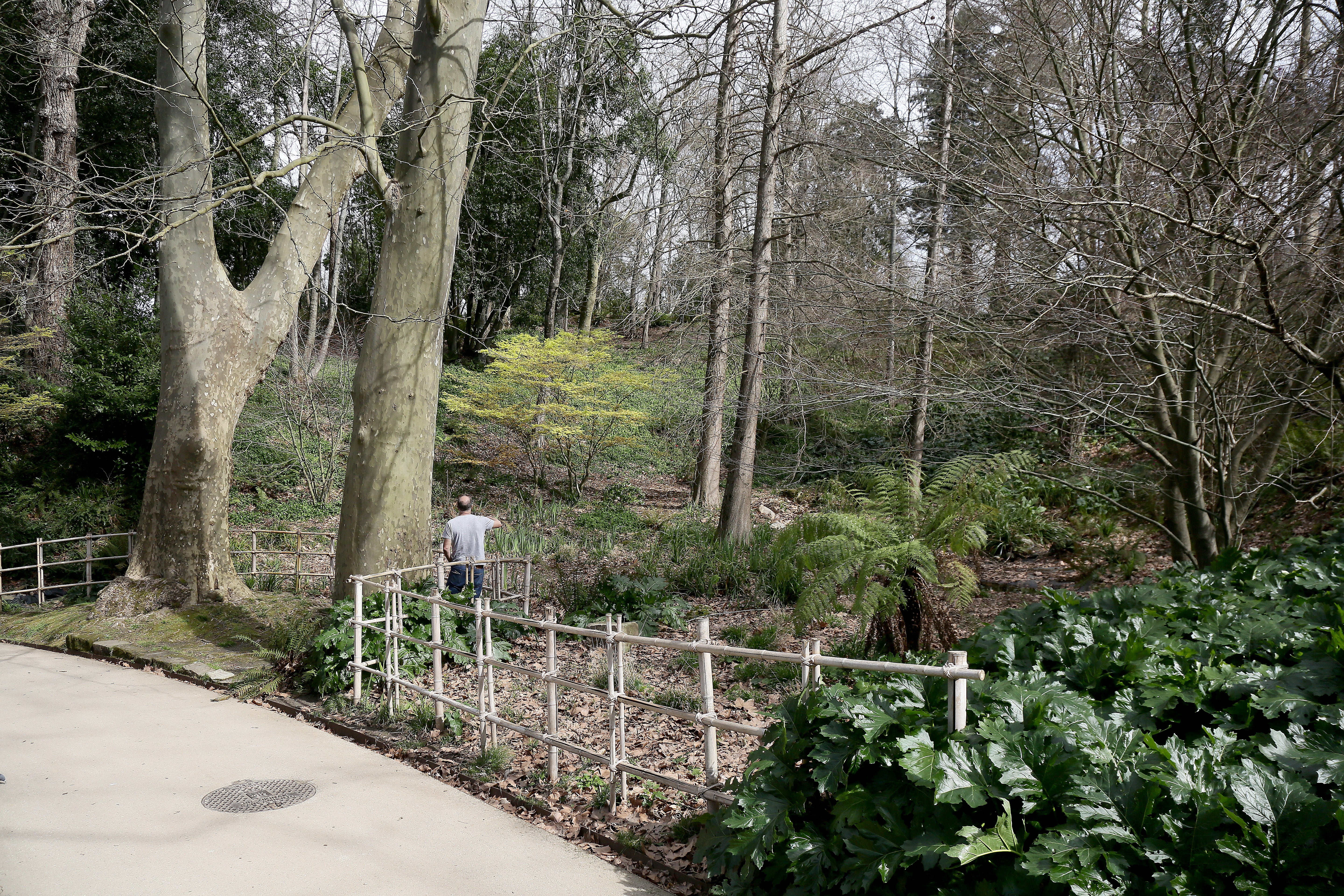 Cristina Enea, el legado del Duque de Mandas