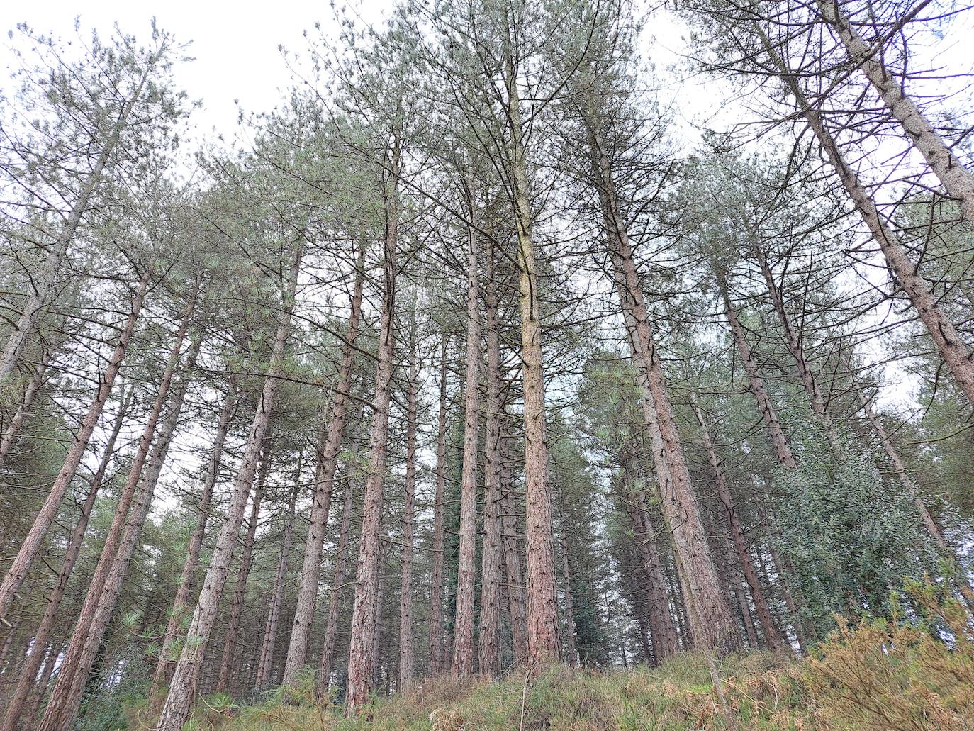 Aitzorrotz, una mole sobre el Alto Deba