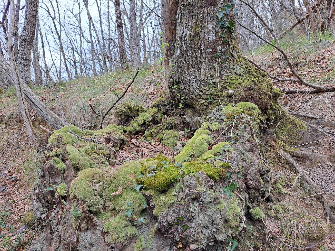 Aitzorrotz, una mole sobre el Alto Deba