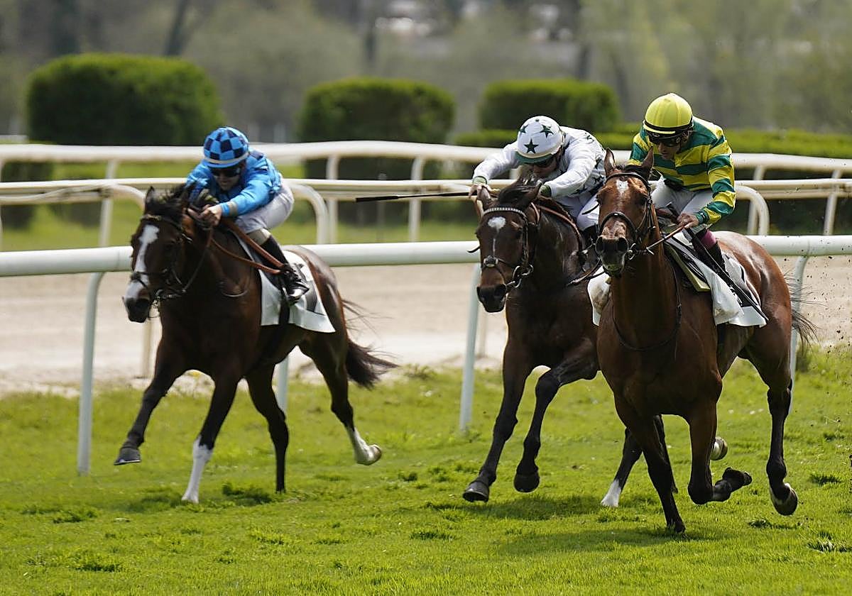 'Jasperoid', de verde y amarillo, domina en la recta final a 'Tritón' y 'Defined' ayer en el hipódromo.