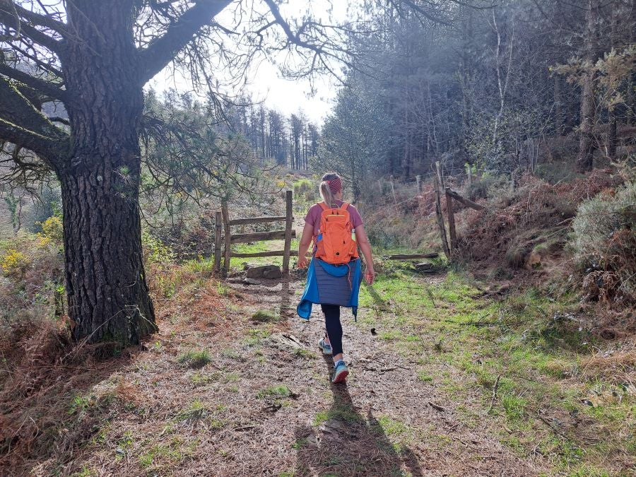Oindo: Un precioso paraje entre Gipuzkoa y Navarra