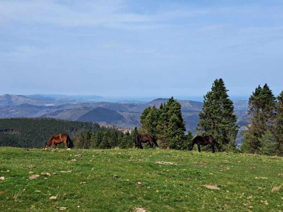 Oindo: Un precioso paraje entre Gipuzkoa y Navarra