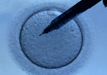 Mil parejas guipuzcoanas inician al año en Osakidetza un tratamiento de reproducción