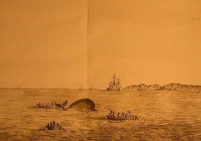 Caza de la ballena. Grabado del siglo XVIII.