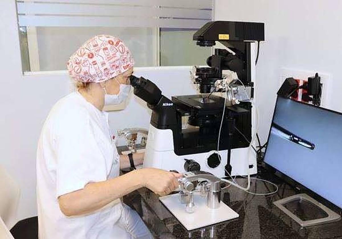 «En el laboratorio no puede haber errores»