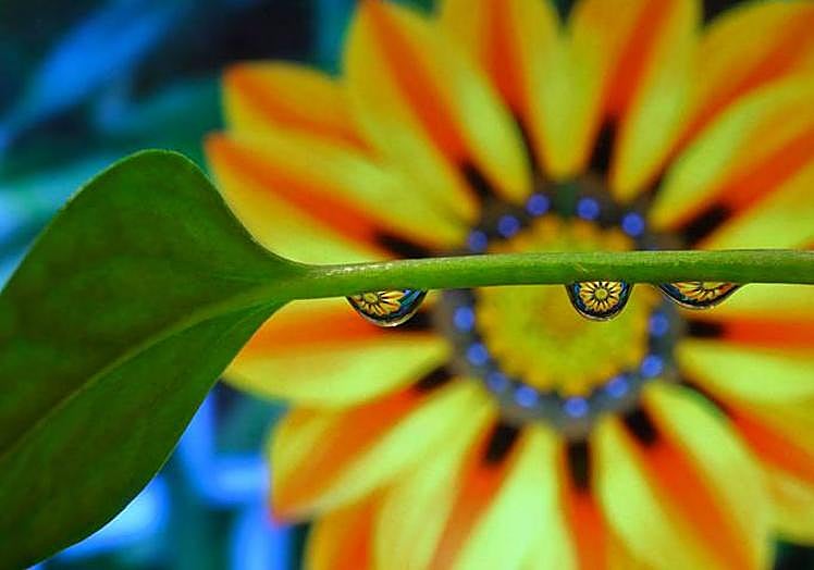 Imagen principal - &#039;Fotciencia 18&#039;, una mirada al mundo a escala nanoscópica