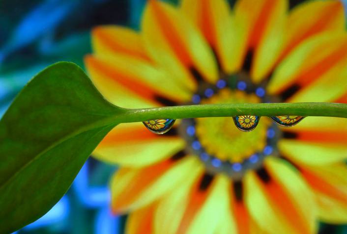 &#039;Fotciencia 18&#039;