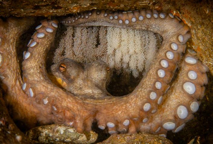 &#039;Fotciencia 18&#039;