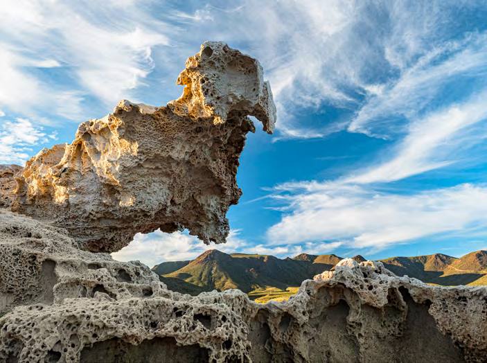 &#039;Fotciencia 18&#039;