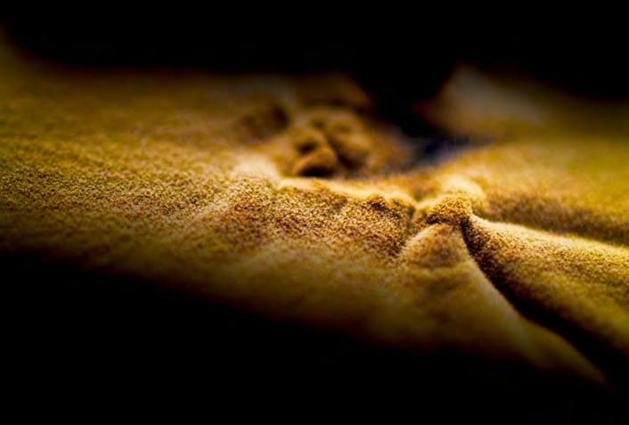 &#039;Fotciencia 18&#039;