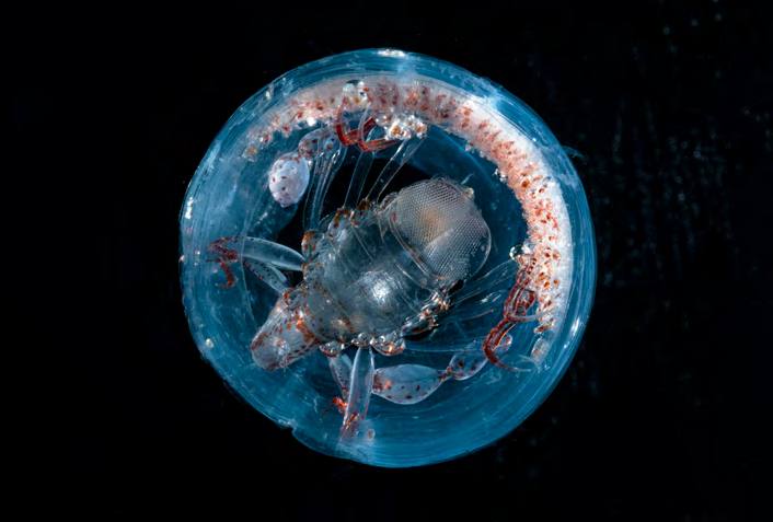 &#039;Fotciencia 18&#039;