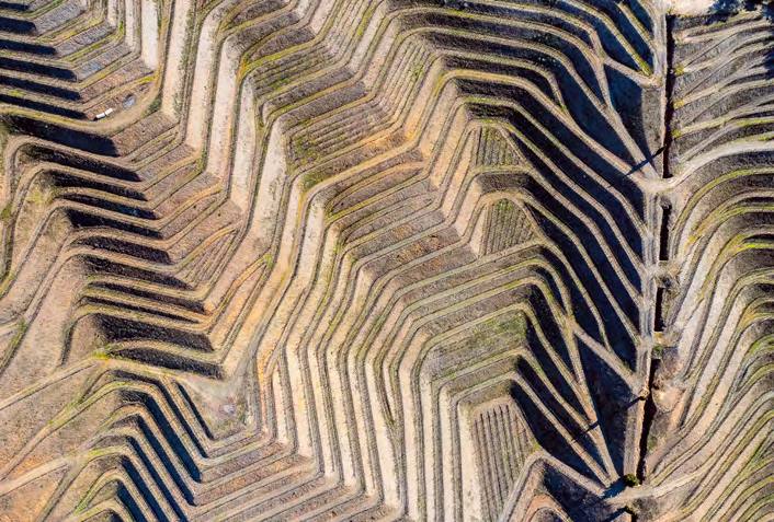 &#039;Fotciencia 18&#039;