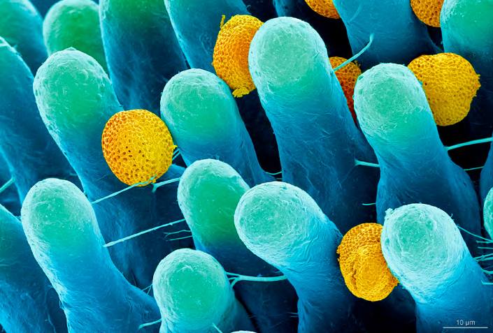 &#039;Fotciencia 18&#039;