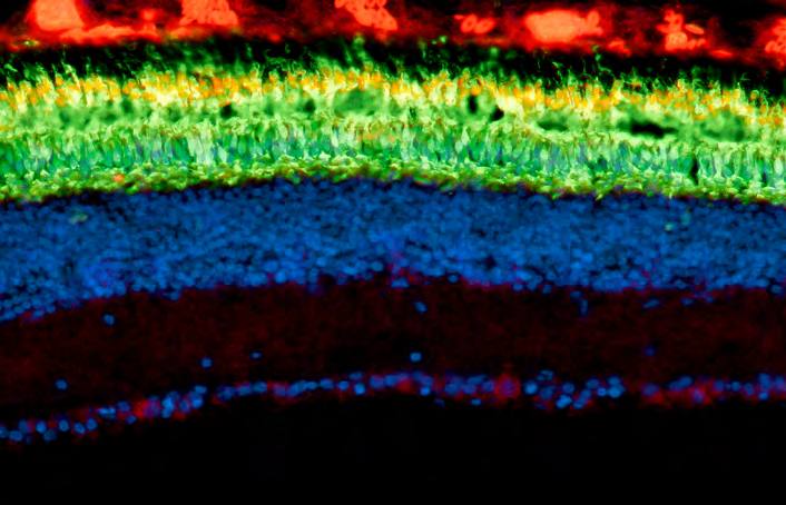 &#039;Fotciencia 18&#039;