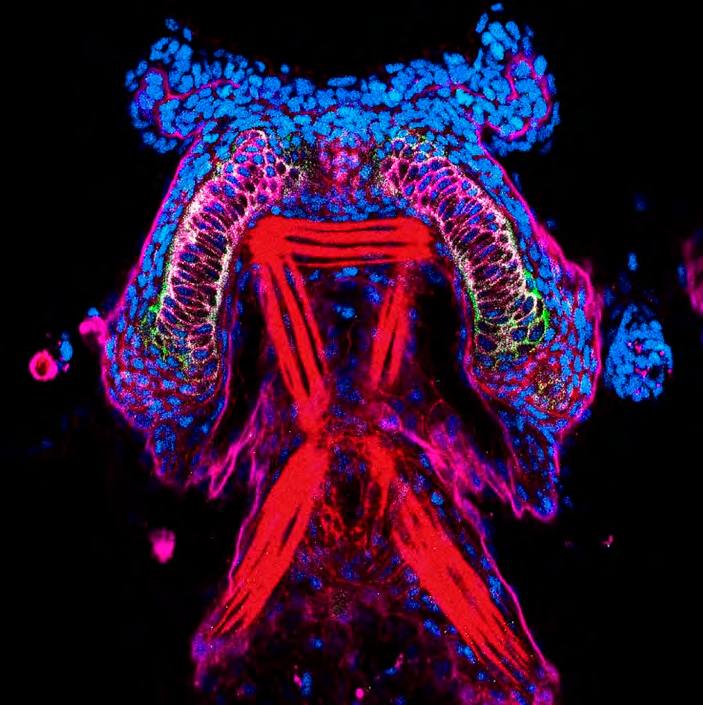 &#039;Fotciencia 18&#039;