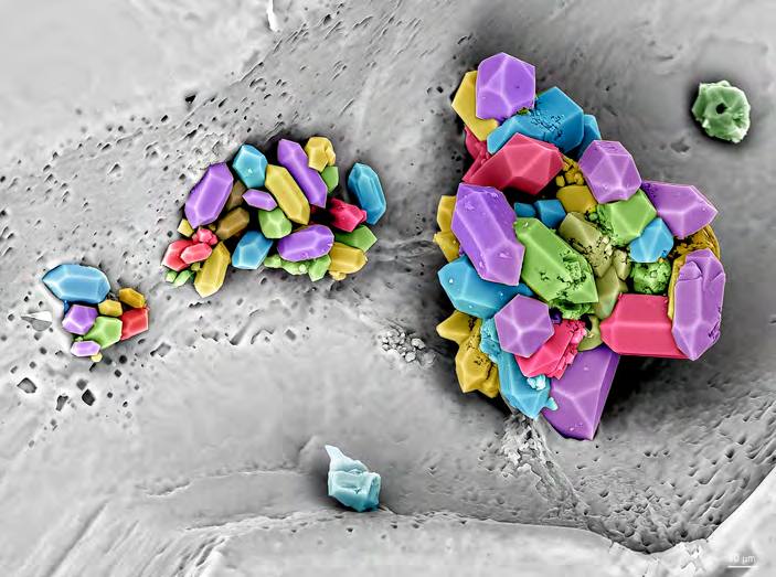 &#039;Fotciencia 18&#039;