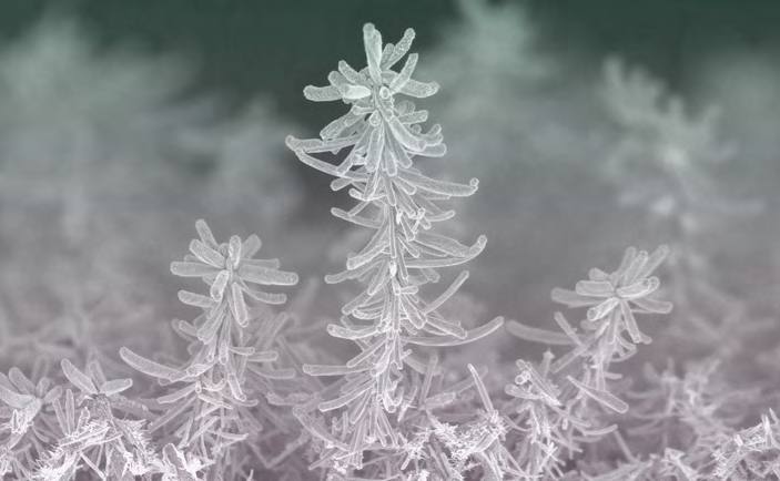 &#039;Fotciencia 18&#039;