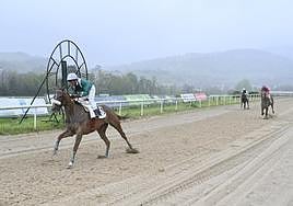 'Smash Hit', pilotado por Ricardo Sousa, cruza la línea de meta con varios cuerpos de ventaja.