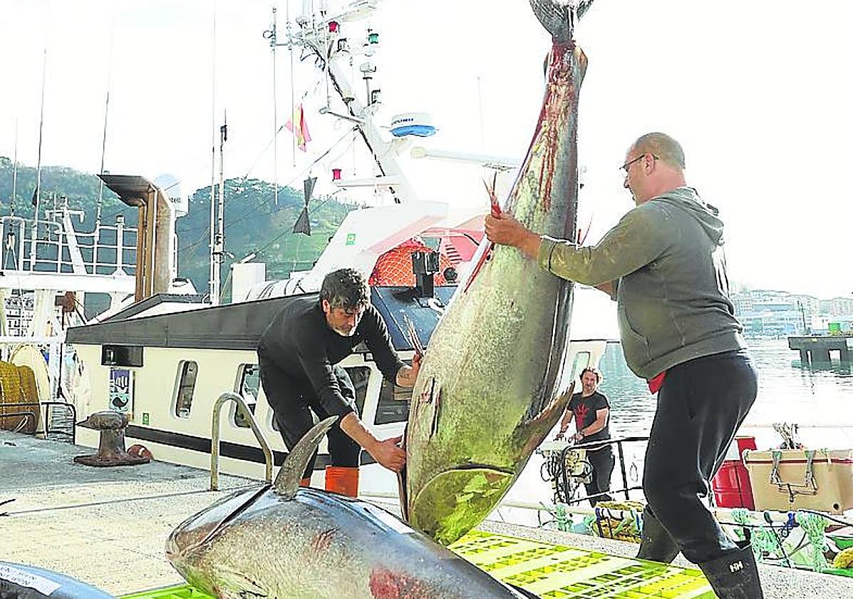 Un proyecto «muy alejado de los espacios naturales protegidos»