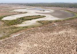 La laguna de Santa Olalla, en Doñana, seca el pasado año.