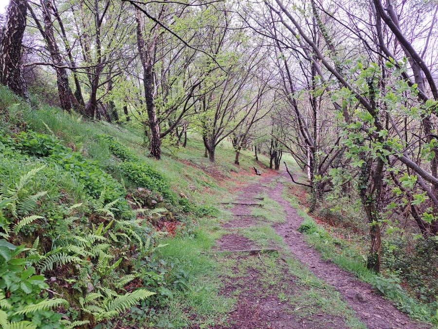 Txoritokieta: Un recorrido sencillo cargado de historia
