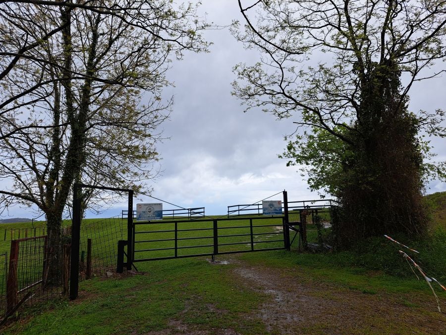 Txoritokieta: Un recorrido sencillo cargado de historia