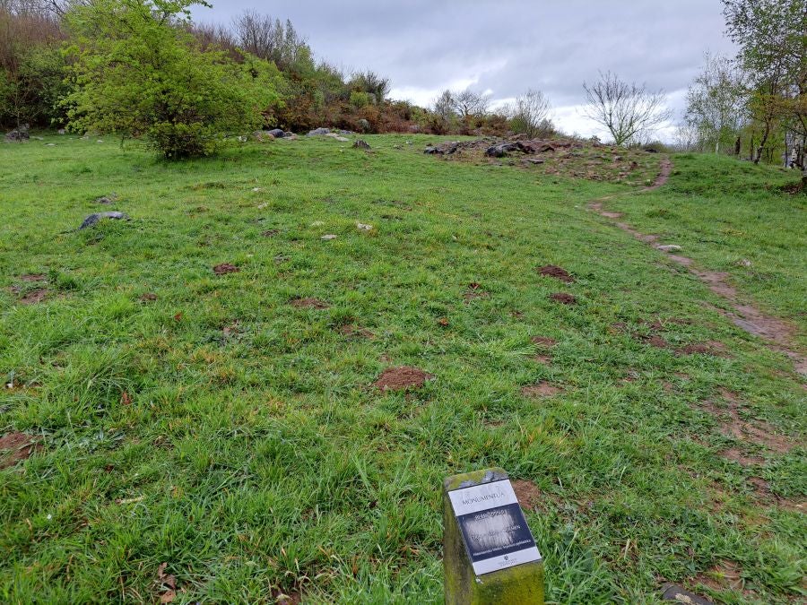 Txoritokieta: Un recorrido sencillo cargado de historia