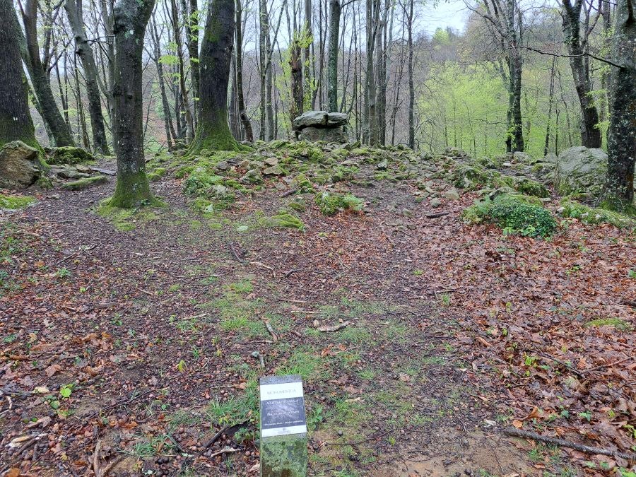 Txoritokieta: Un recorrido sencillo cargado de historia