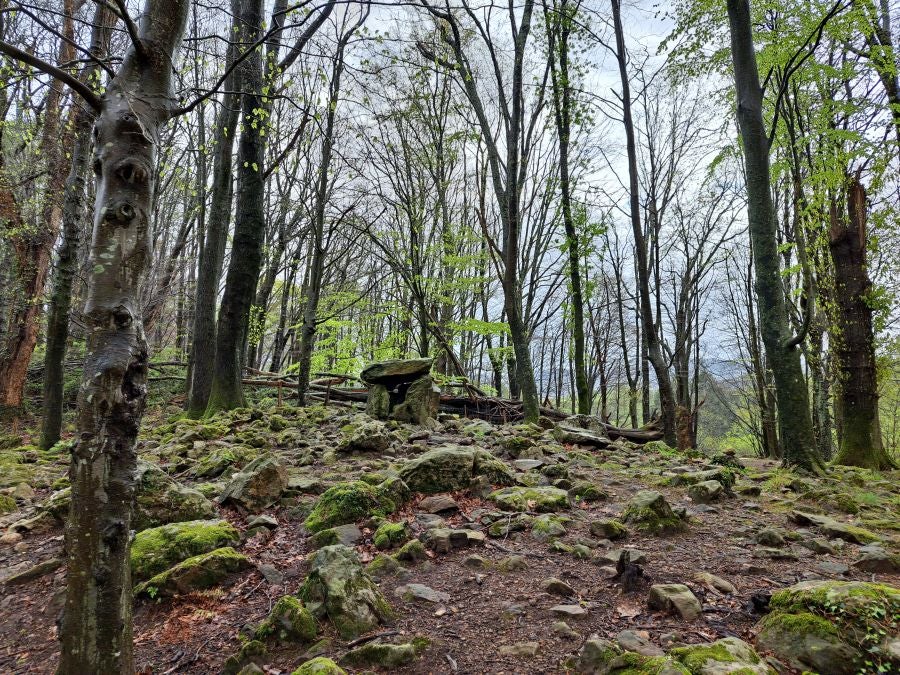 Txoritokieta: Un recorrido sencillo cargado de historia