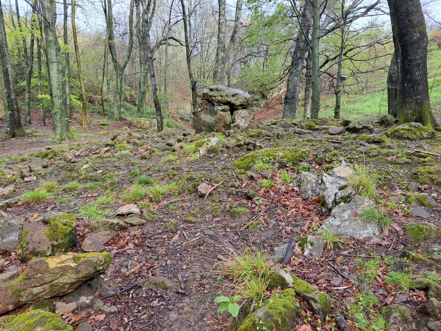 Txoritokieta: Un recorrido sencillo cargado de historia