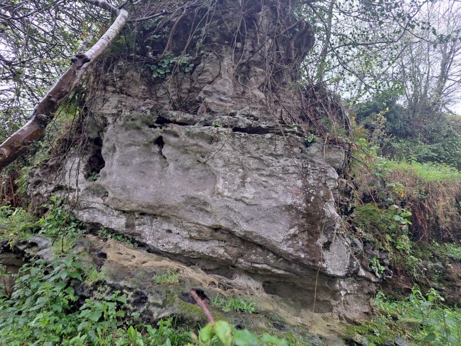 Txoritokieta: Un recorrido sencillo cargado de historia