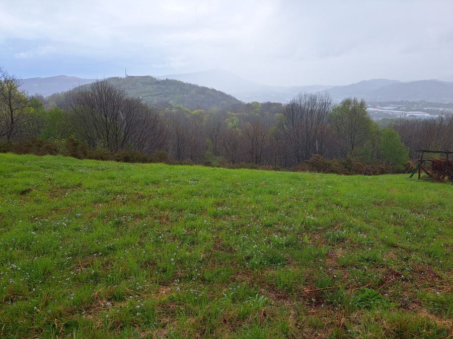 Txoritokieta: Un recorrido sencillo cargado de historia