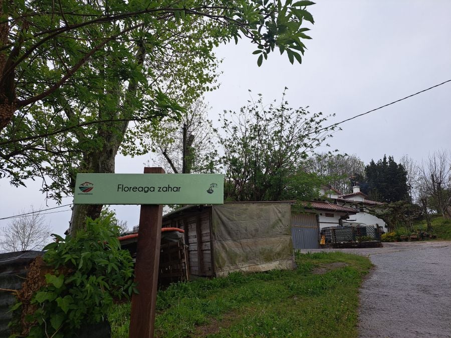 Txoritokieta: Un recorrido sencillo cargado de historia