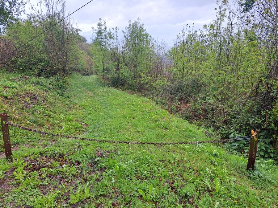 Txoritokieta: Un recorrido sencillo cargado de historia