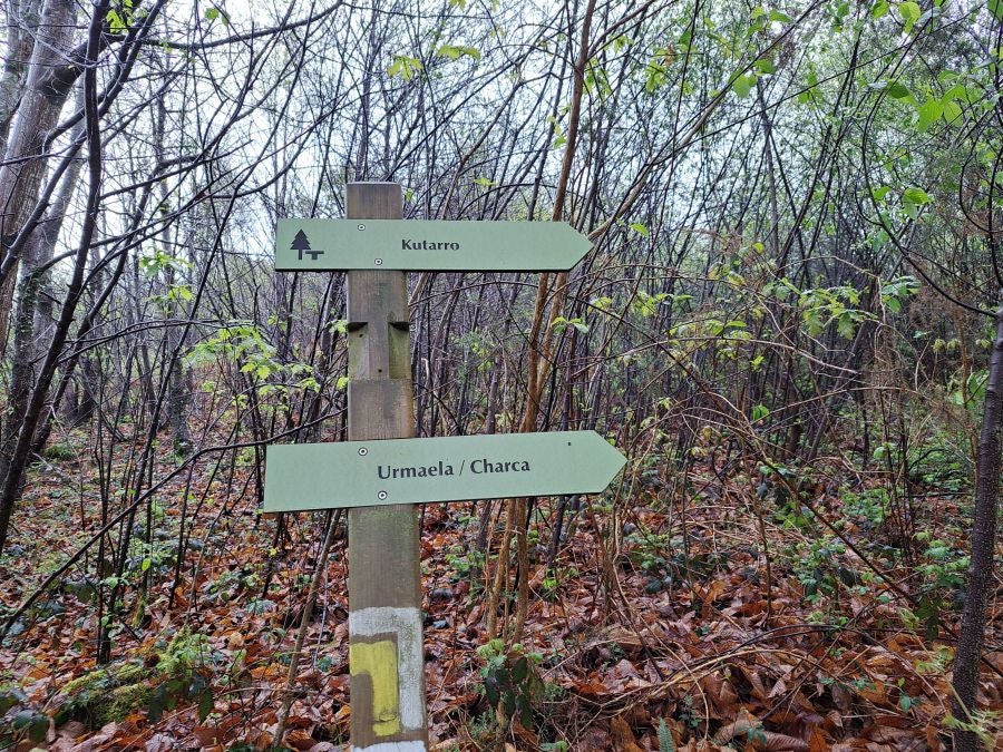 Txoritokieta: Un recorrido sencillo cargado de historia