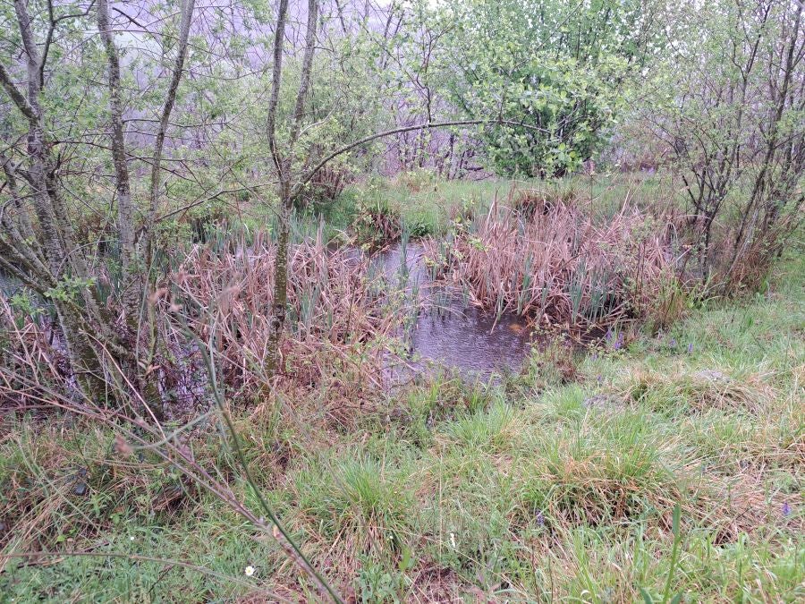 Txoritokieta: Un recorrido sencillo cargado de historia